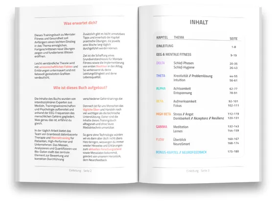 Table of contents of the book